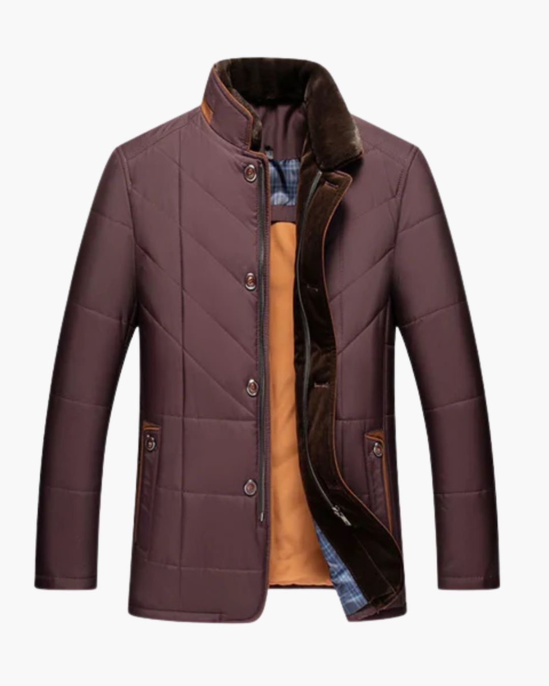 Veste à col montant Solomon