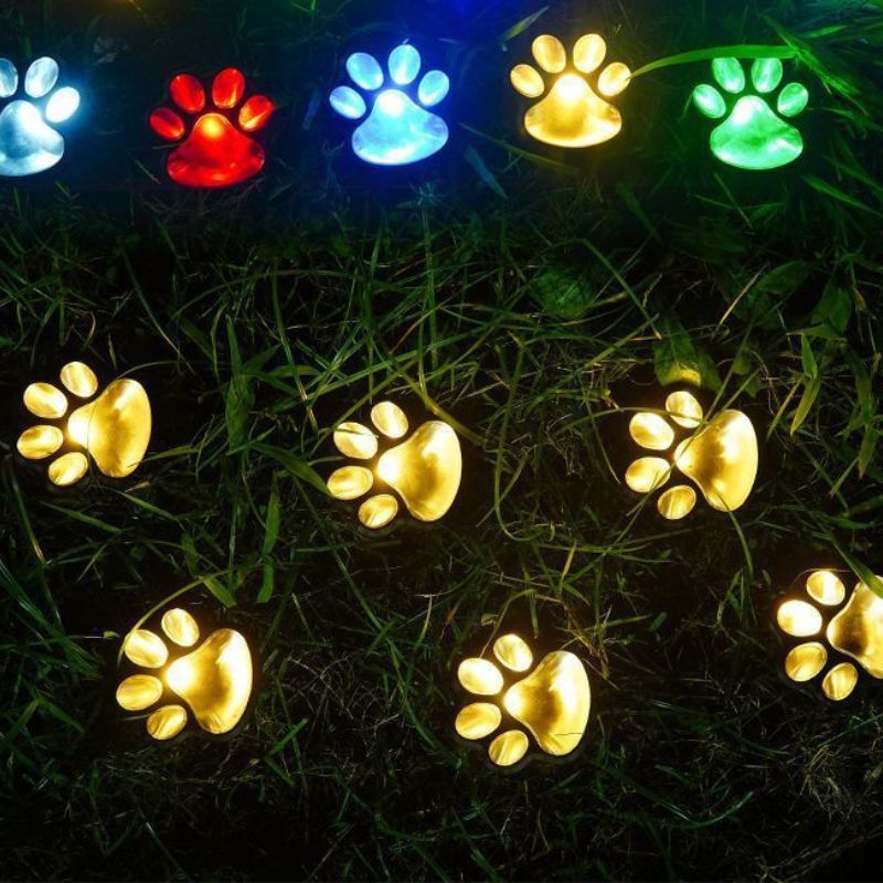 Lumi Pattes Patte Lumineuse