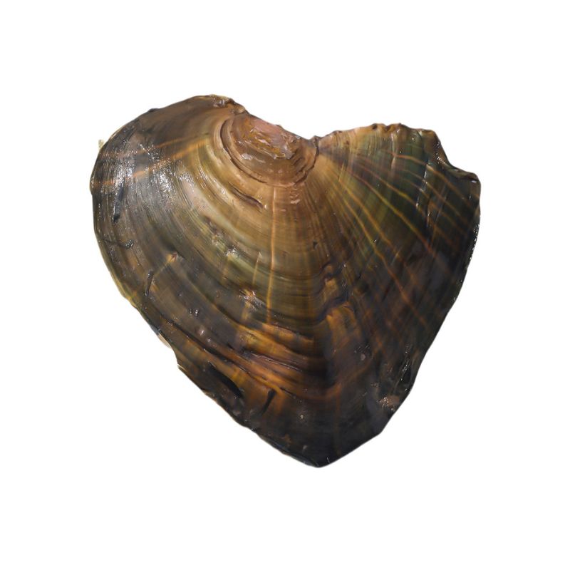 Collier Cœur de Perle